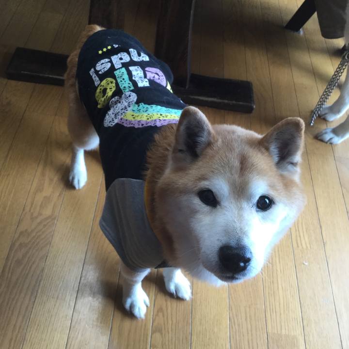 2dc83b79 356c 4f90 b21a c6f4fcfa2329 1534895061119