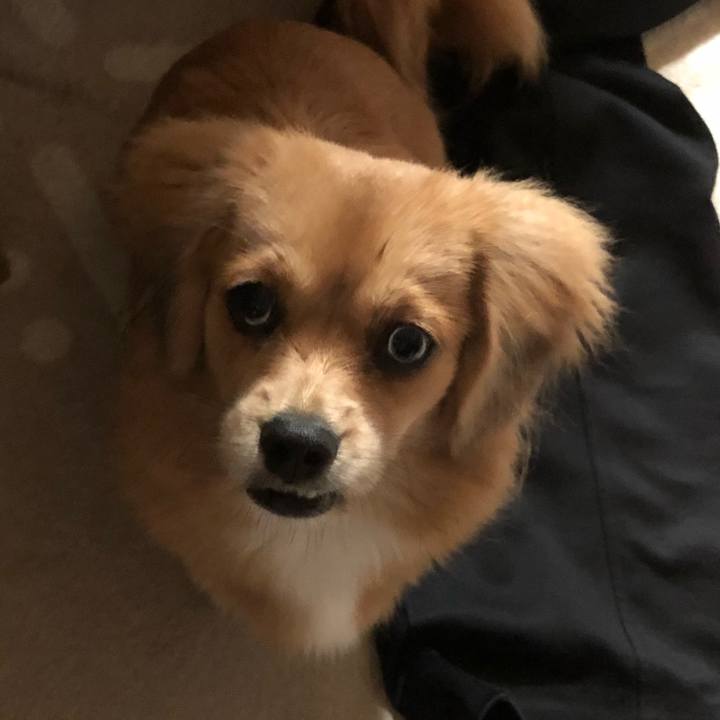 2dc85616 9294 4307 a3e6 7689e185963b 1508450124027