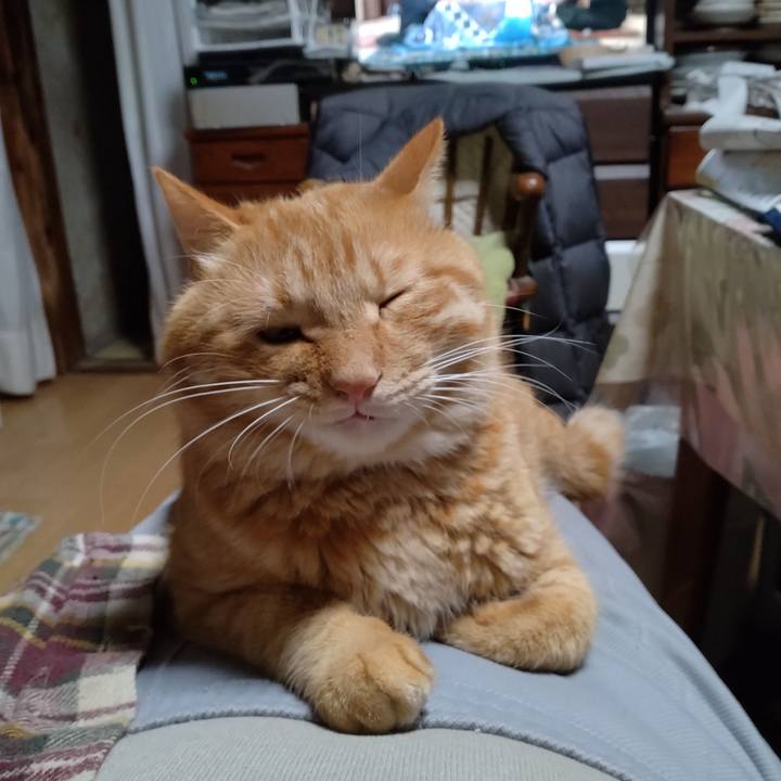 2dc8613c 8329 4963 9543 65fb2450460a 1696758685065