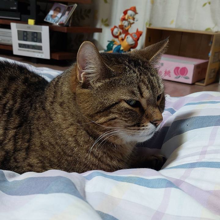 2dc8a511 fdd8 4b77 a9f7 4dcb2f7a3762 1672312854360