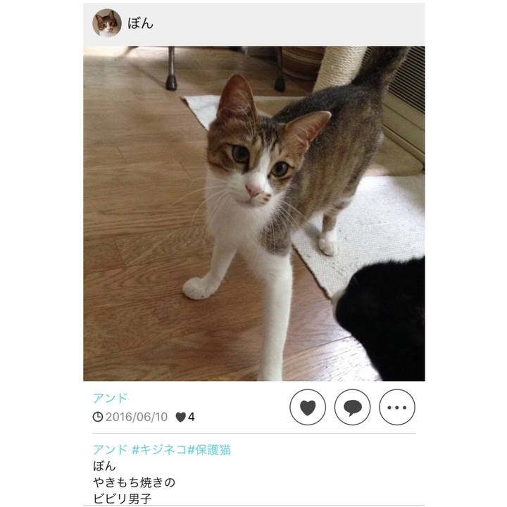 2dc90737 005e 44fe a1a1 fa2e7abf8360 1591758321980