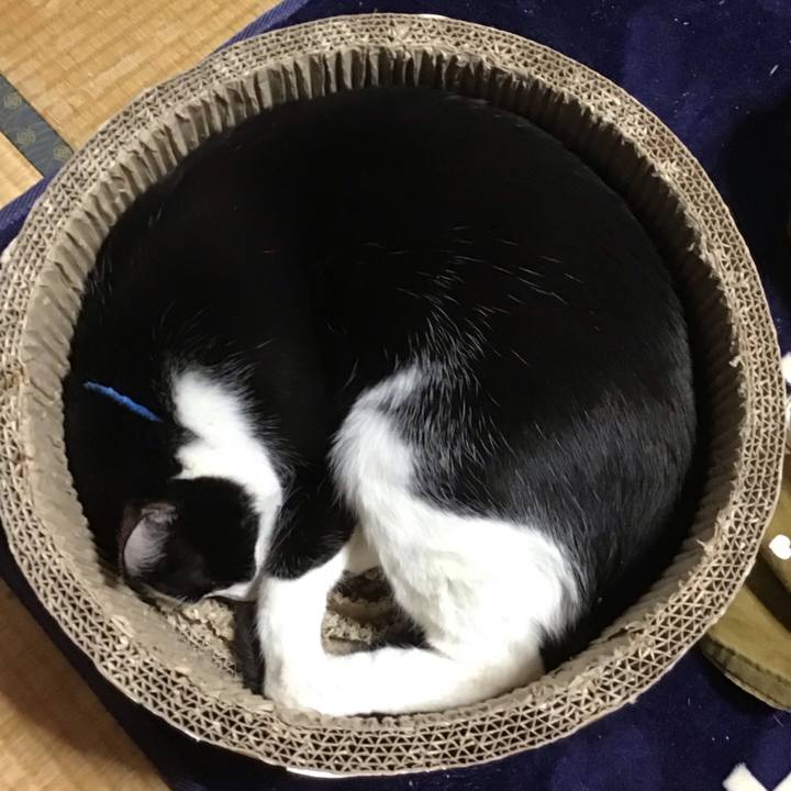 2dc9119f 5676 4421 bc9b 48c78ffe2e33 1709371535487