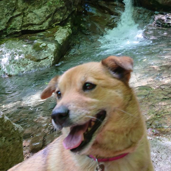 2dc91c66 e345 4529 a518 84e0d5eafd86 1622370835229