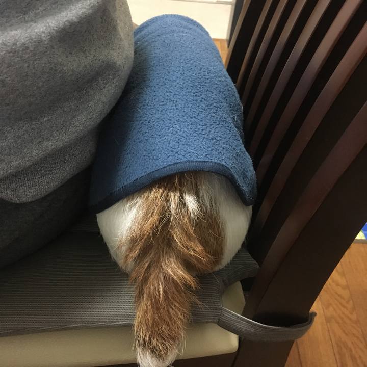 2dc94aff 0fd4 4308 8406 9f8f8cd64883 1555040818919