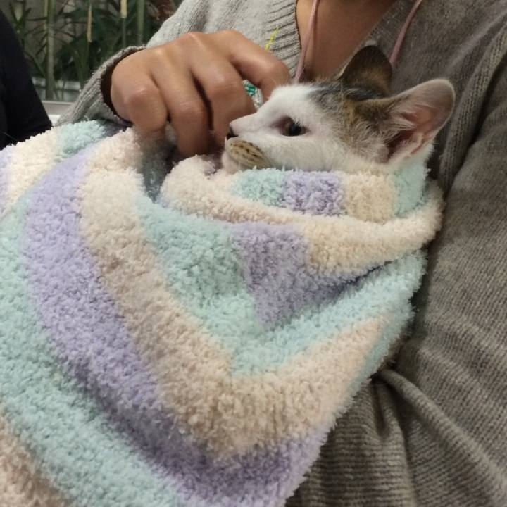 2dc99aa3 b419 4587 9dd5 b6042e3d2342 1614268629819