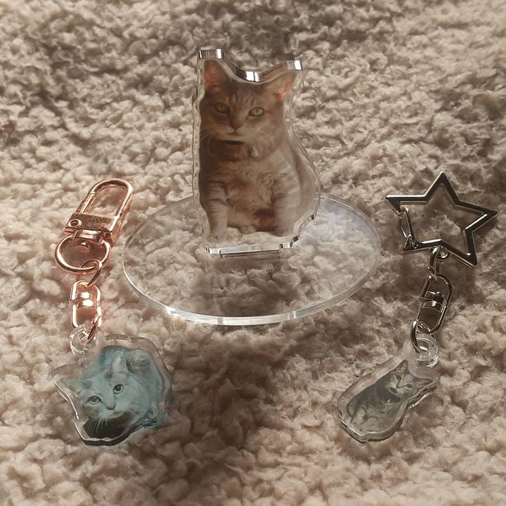 2dca00fe 97f9 4089 a01c f1d3411aa02b 1701915366595