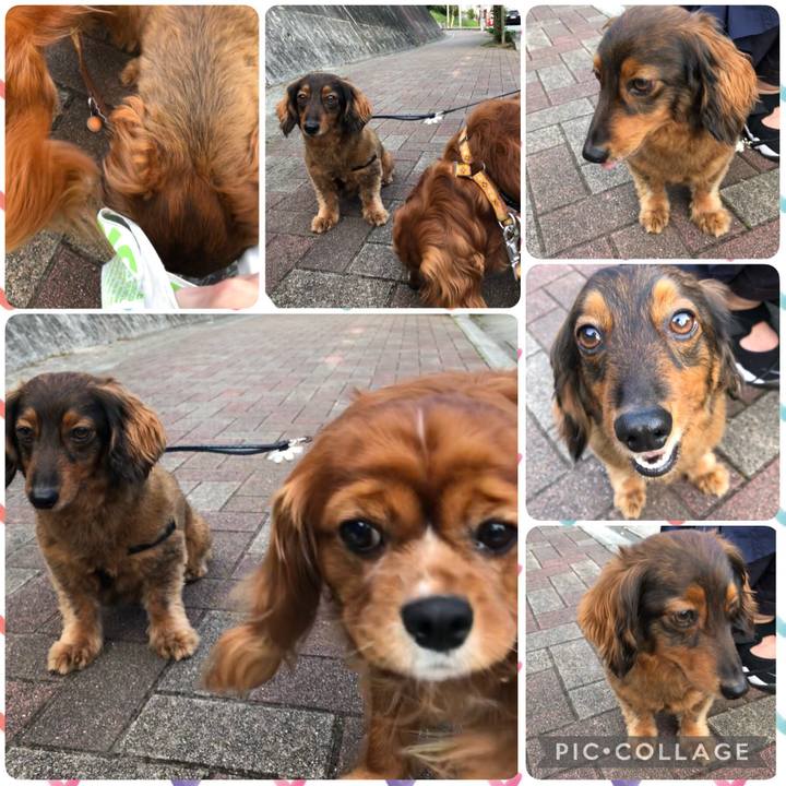 2dca17ae f64e 441c 96cc 7fb2bd4fb699 1621766548735