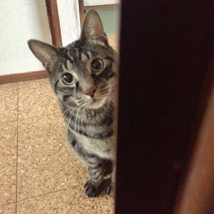 2dca3021 b2a2 4a23 91bc 118aaaa54067 1508052045242