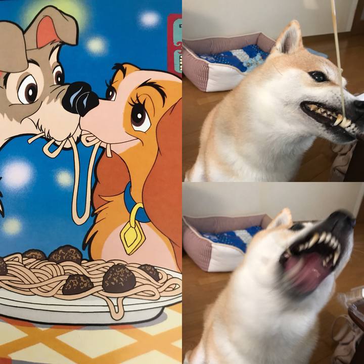 2dca5695 d73f 4c00 8fe9 4ce83633f86f 1531197124605