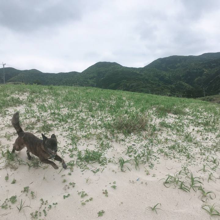 2dca8542 16a7 4cb0 a7b9 dc775a74d62e 1558443019264