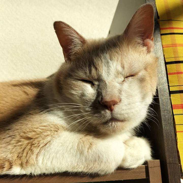 2dca976e 9130 4948 a02c c31c12ab91e8 1641687841536