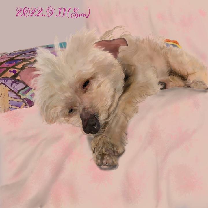 2dcacb3e d209 4a26 aff8 4c177f929e77 1662899557575