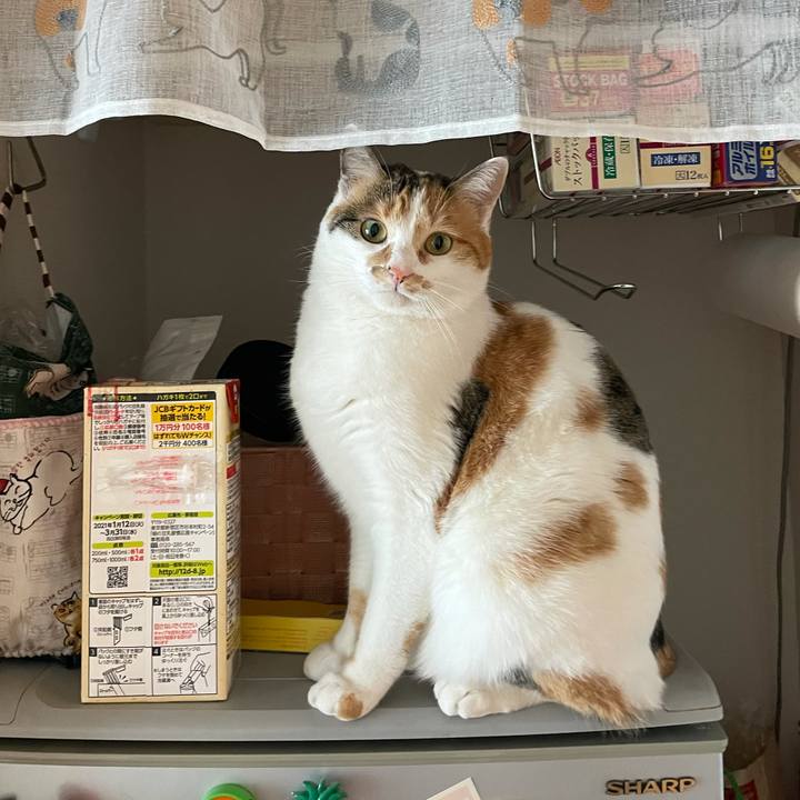 2dcace52 50e2 44dc 998d aabfd1235514 1612311891235