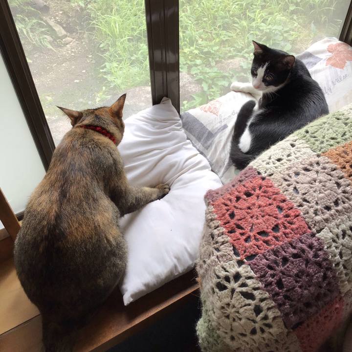 2dcaeb28 e3fa 4193 8885 e081f42fb5d9 1631075471577