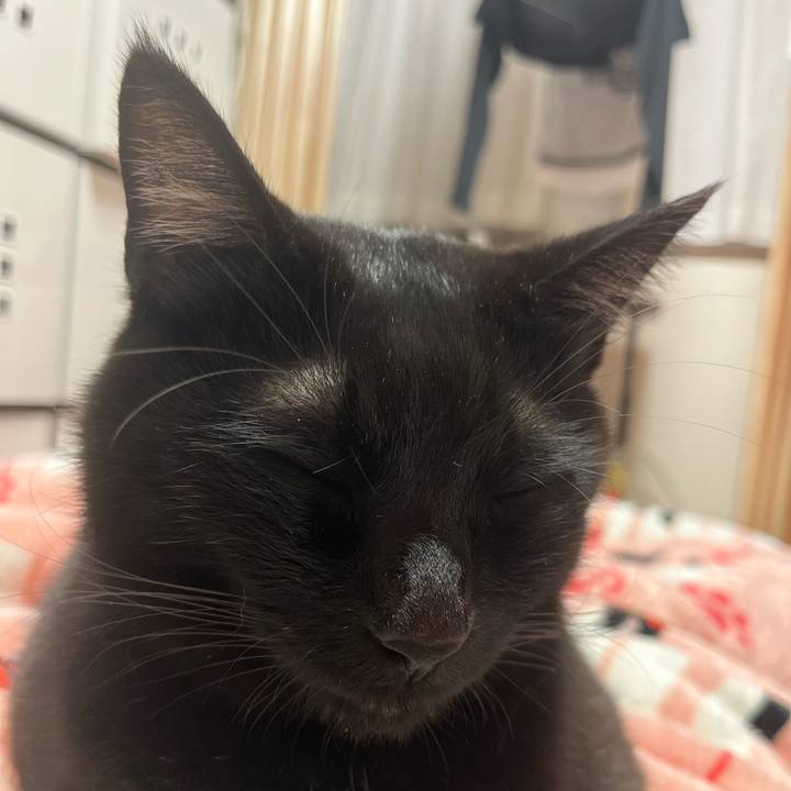 2dcb3c08 7887 4065 85f3 9d55842cf3aa 1677117450230