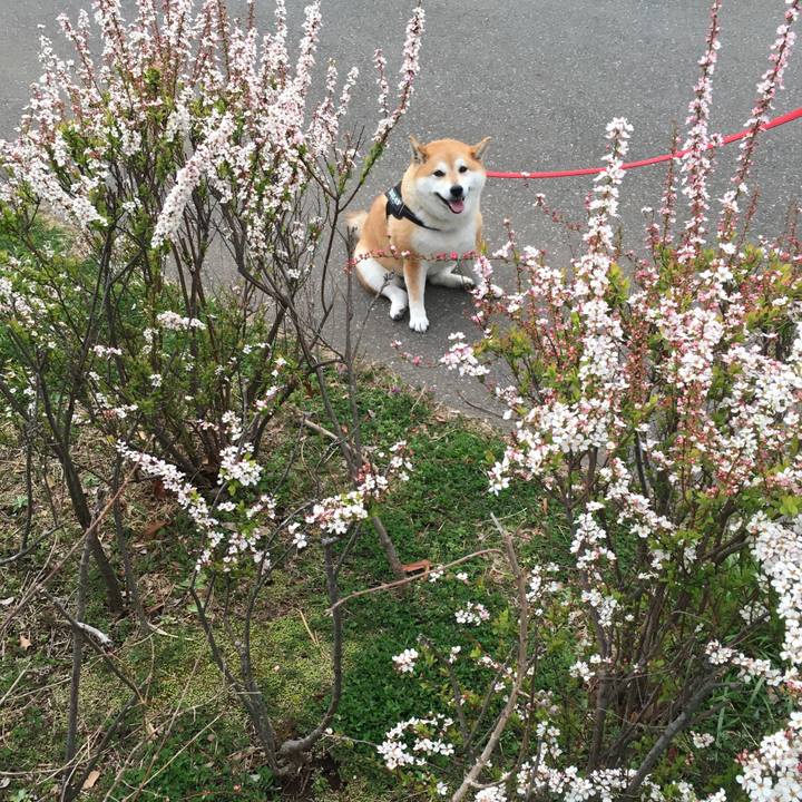 2dcb8b26 0e6a 42e5 915d 632fdb4a1c4a 1615281887010