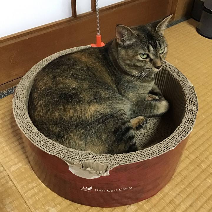 2dcbbde2 c0d3 4bec a6f4 8776706724b0 1627968366099