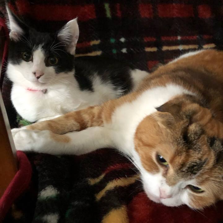 2dcbc870 d141 4cf0 909b 8b47dc670d66 1615630876466