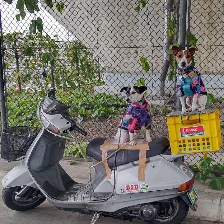 2dcbdbd5 0380 49d5 b730 8f5d87e364f1 1700964095374