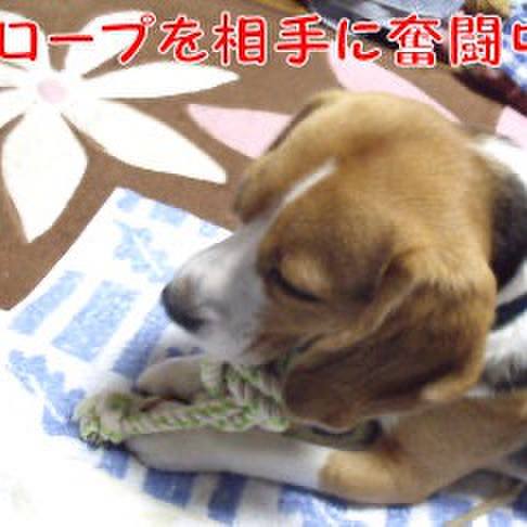 2dcbef04 0989 4c20 881f e6b991c63fae 1715204917313