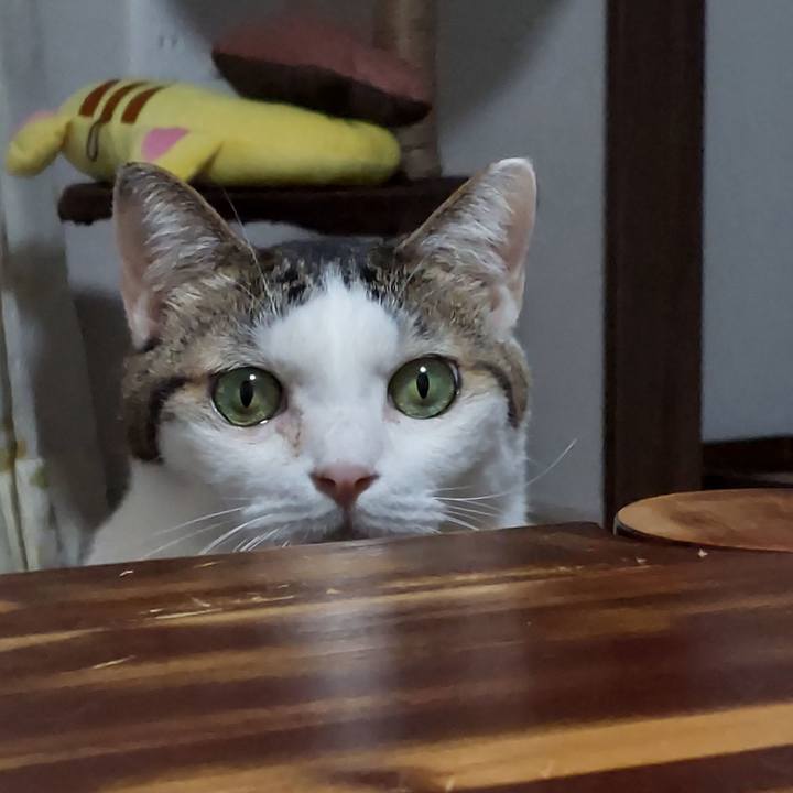 2dcc1343 e02a 4727 9e5f 45a1accd4696 1634818759137