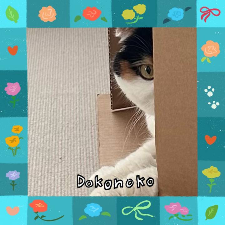 2dcc16b3 c7c5 4f93 9461 a64f8d8e2eda 1715044181378