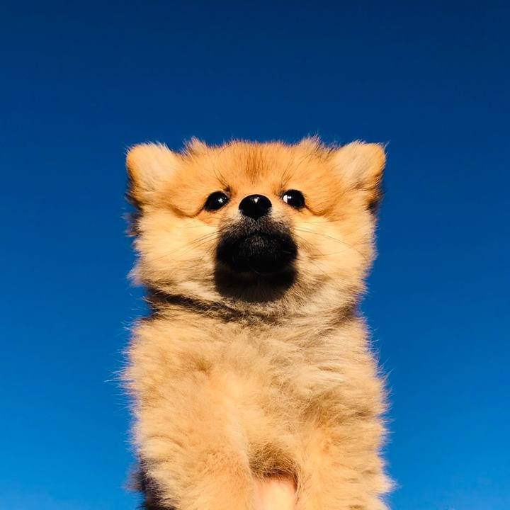 2dcc177e 8040 4eec b88d f458ac7f19e2 1575025408094