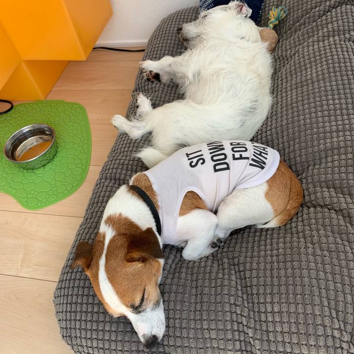 2dcc687b 5a18 45c2 9b6f 1765c0d012af 1565068627809