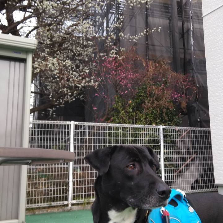 2dcc7073 3c0d 4a9a 8eaf 47ea9dd7a233 1613088250185