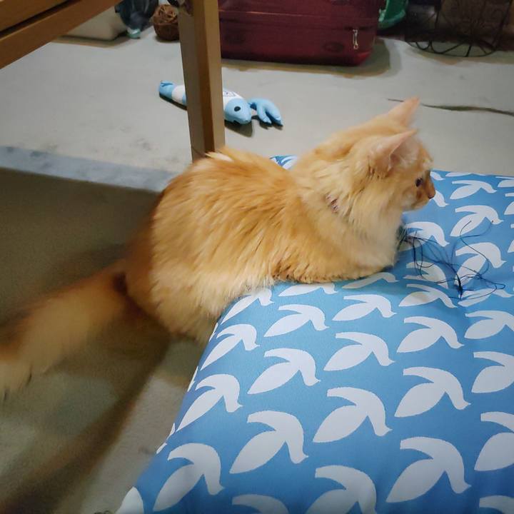 2dcc7db9 a848 4c8f be3f 92be8b84fc57 1691929722656