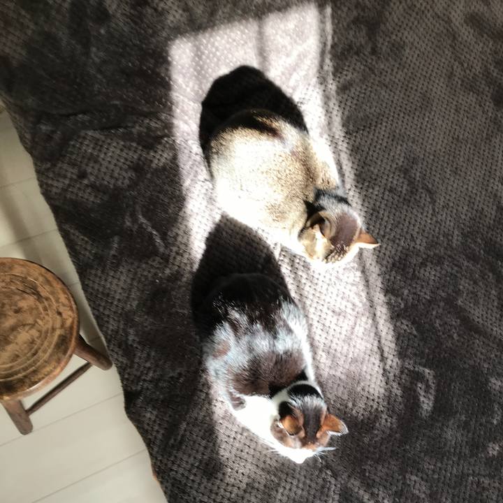 2dcc9e1a e3c6 4935 abc4 a156a88ab900 1511582081330