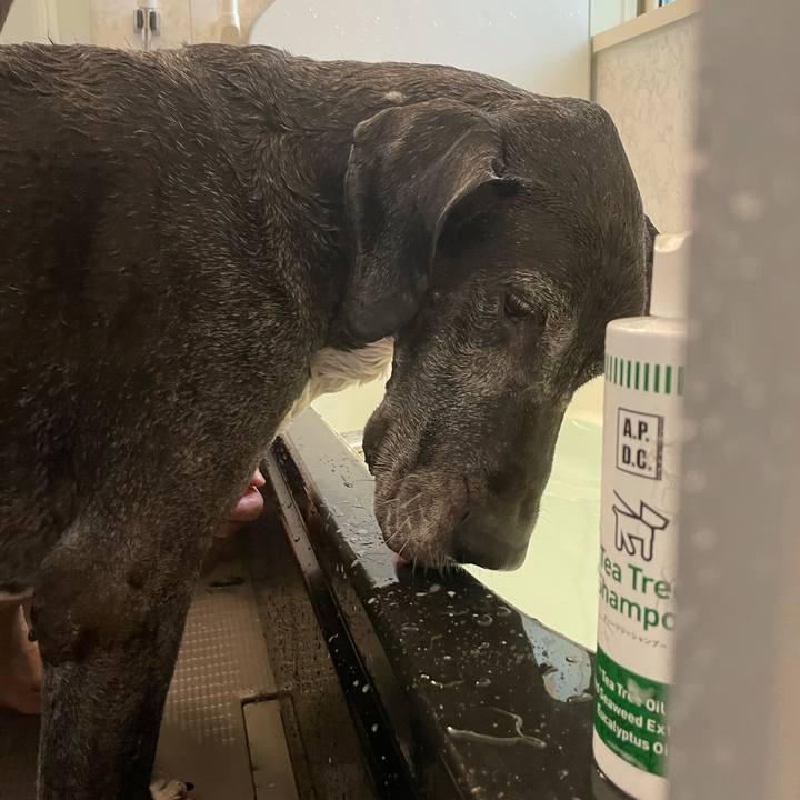 2dcd0133 4442 4cf8 a438 2e85864b51d0 1625984990842