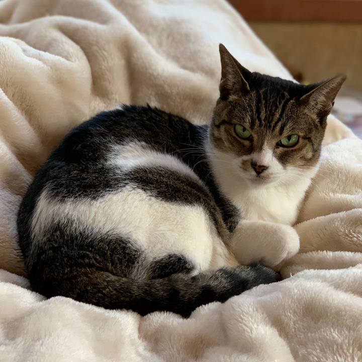 2dcd0856 1bca 4144 b440 3b0d27bad844 1604799344812