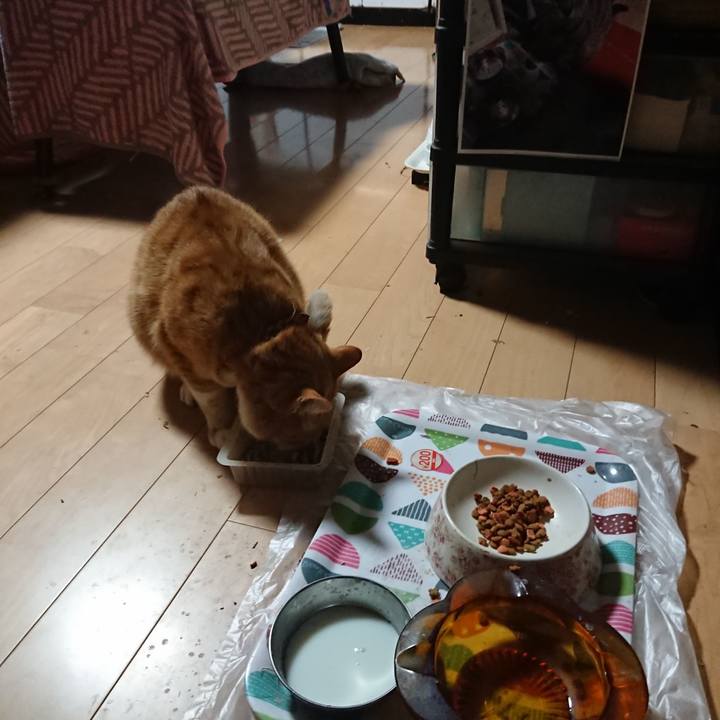 2dcd388a fc45 4bb8 a193 74c679ac7ed6 1605643816351