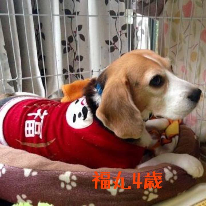 2dcd3d7a fb40 41ae 88ec 0ea89aa20836 1509519852592