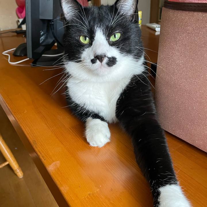 2dcd3f8e 90f7 44ad a66f cd95fdd4514a 1664237538986