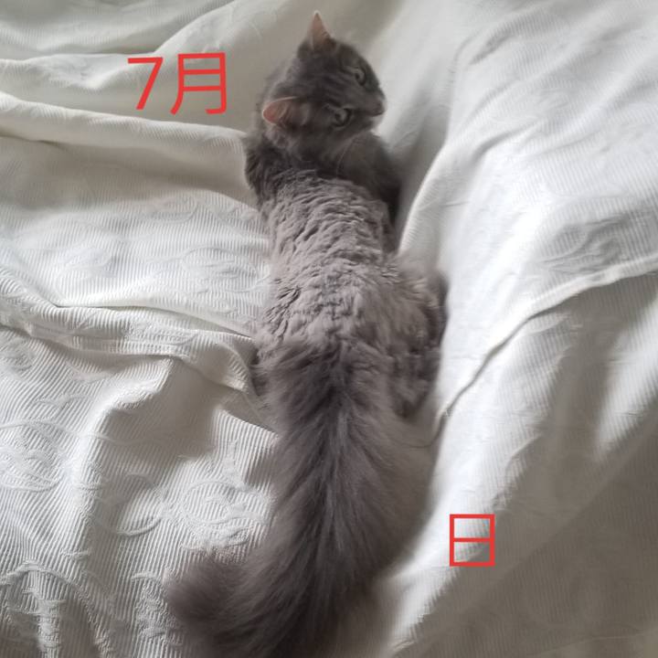 2dcd52c0 1592 4813 8624 df01f889c090 1561947931006