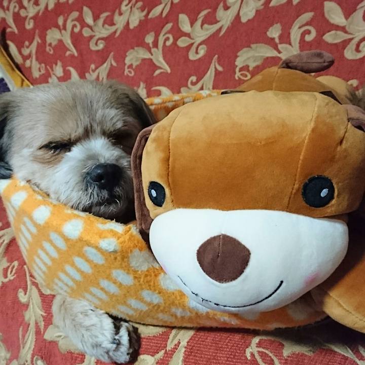 2dcd95d1 f79a 4ecc abc8 d3e60d0f2aec 1520242627182