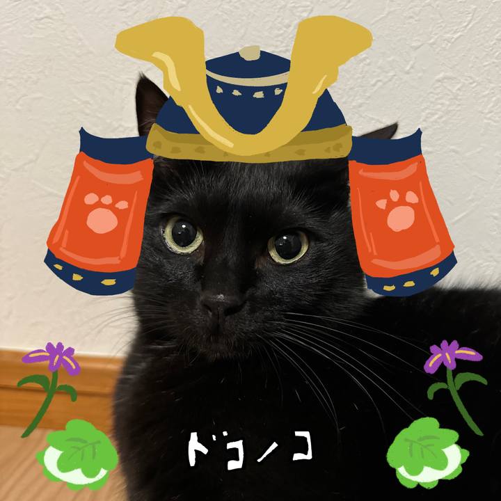 2dcdd36e 4eb4 4c31 a894 9329ab455d2b 1714908401821