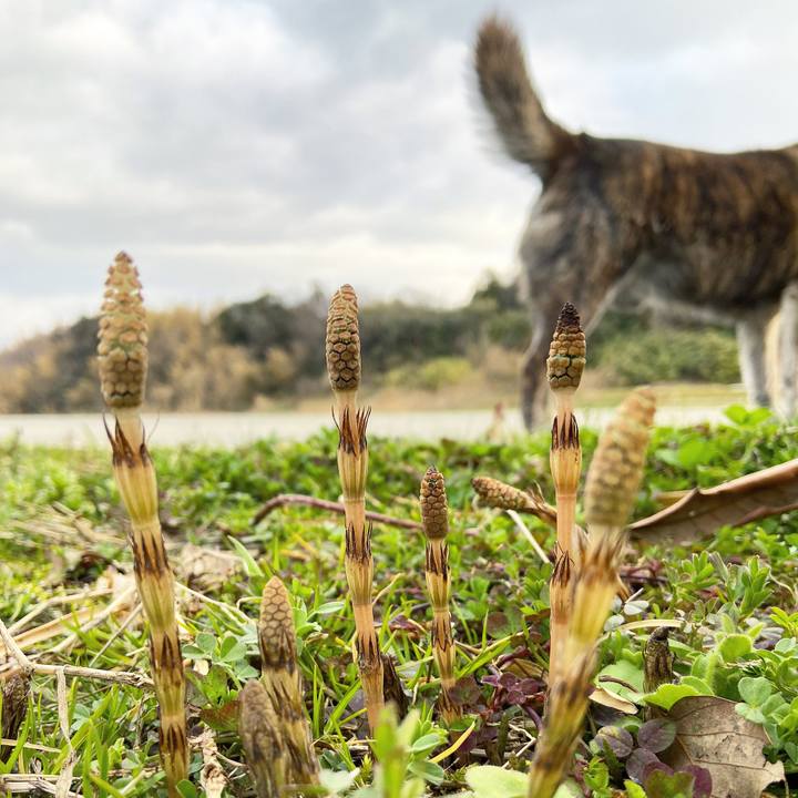 2dcdeaea 18b1 4c2f a7c8 39f442b0ff70 1616022105902