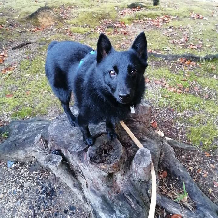 2dce2900 960d 4a37 b8a0 28ade03f6bae 1636581798473