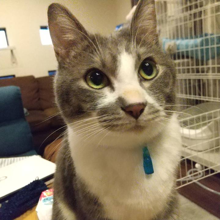 2dce3392 2e99 4038 9812 0b4d25cc10c5 1611102085714