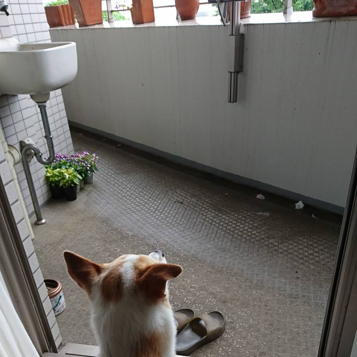 2dce3752 0171 4bda aa07 99f95693ca88 1528701837731