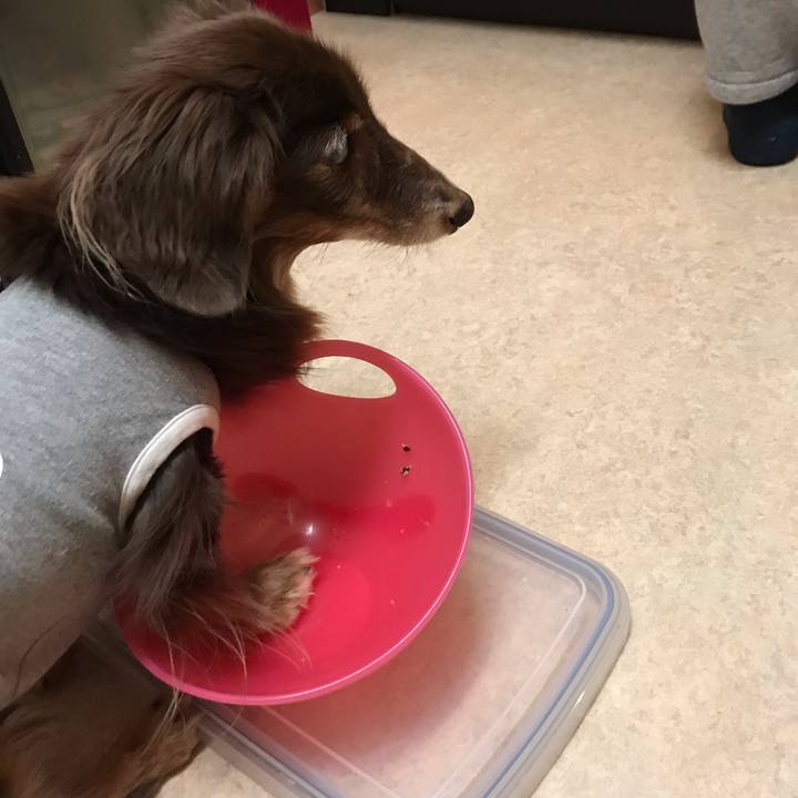 2dce989b 3dfe 48c6 85ff 5670c8fe1897 1545084155118