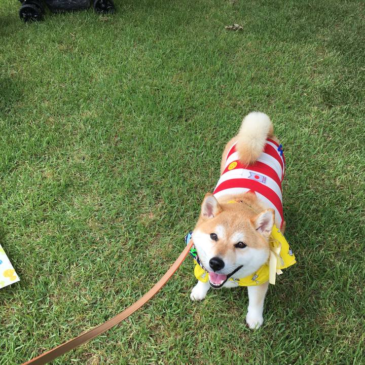 2dce9c29 54ef 4c15 b026 b92cd2e86401 1559956427590