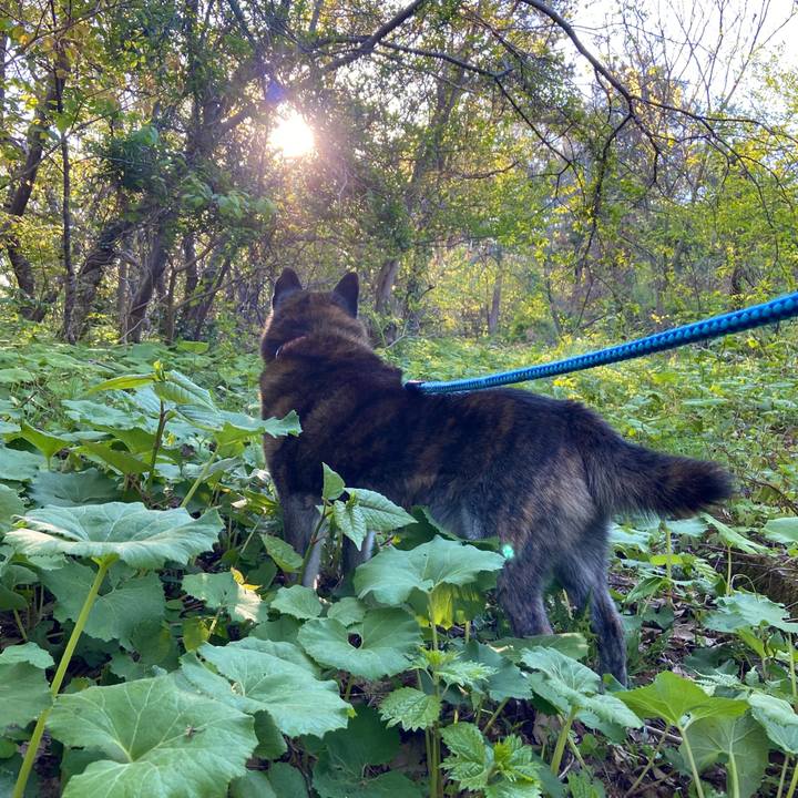 2dcea8bc 3656 4070 8f94 43115f06bab3 1682226705468