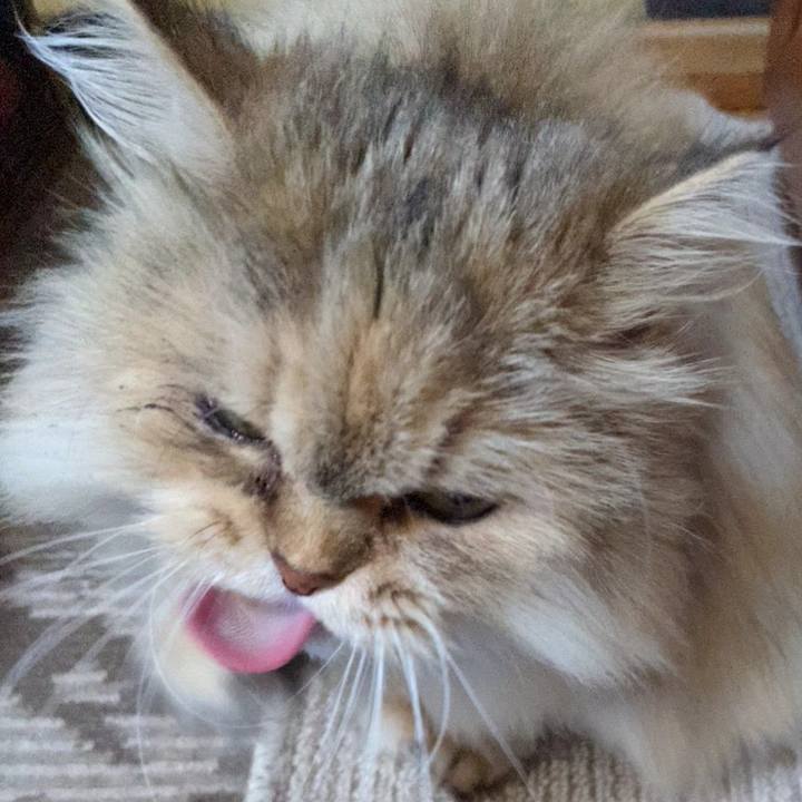 2dcec6a8 7111 45cb 9050 eb427f9f3a6a 1701734850708