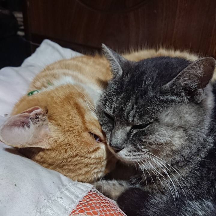 2dcecf8c ba3d 4c97 88ff 53ef255a1612 1581606430014