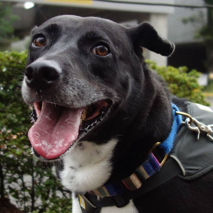 2dcee533 808e 44a5 b5f6 315b6b273c7e 1663717754311