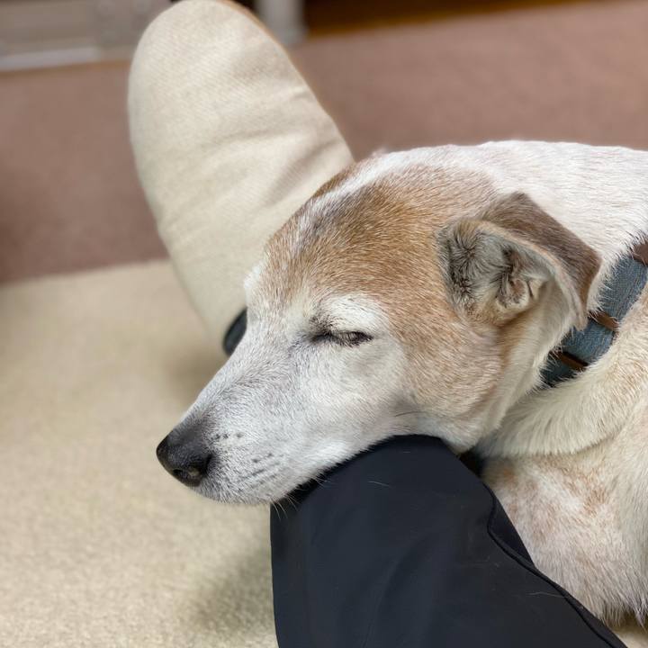 2dcf308a 837f 49bc 9d66 7eab0dff135b 1643424859870